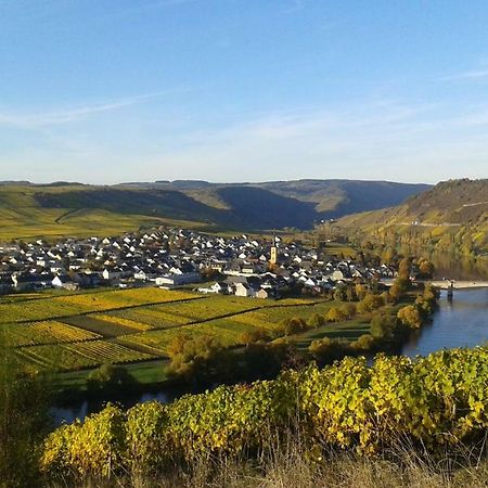 Готель Wein & Gastehaus Hermeshof Тріттенгайм Екстер'єр фото