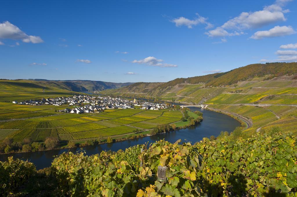 Готель Wein & Gastehaus Hermeshof Тріттенгайм Екстер'єр фото