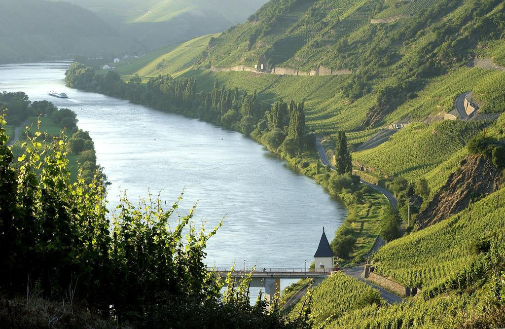 Готель Wein & Gastehaus Hermeshof Тріттенгайм Екстер'єр фото